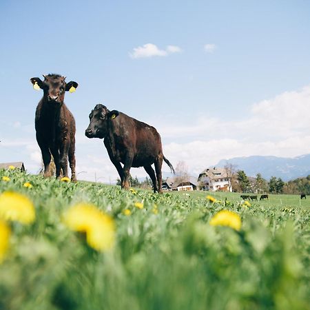 Alpin Farm Linde - Oberweidacherhof Collalbo Exterior foto