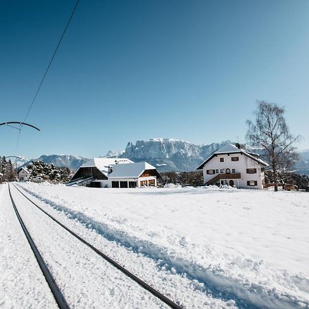 Alpin Farm Linde - Oberweidacherhof Collalbo Exterior foto