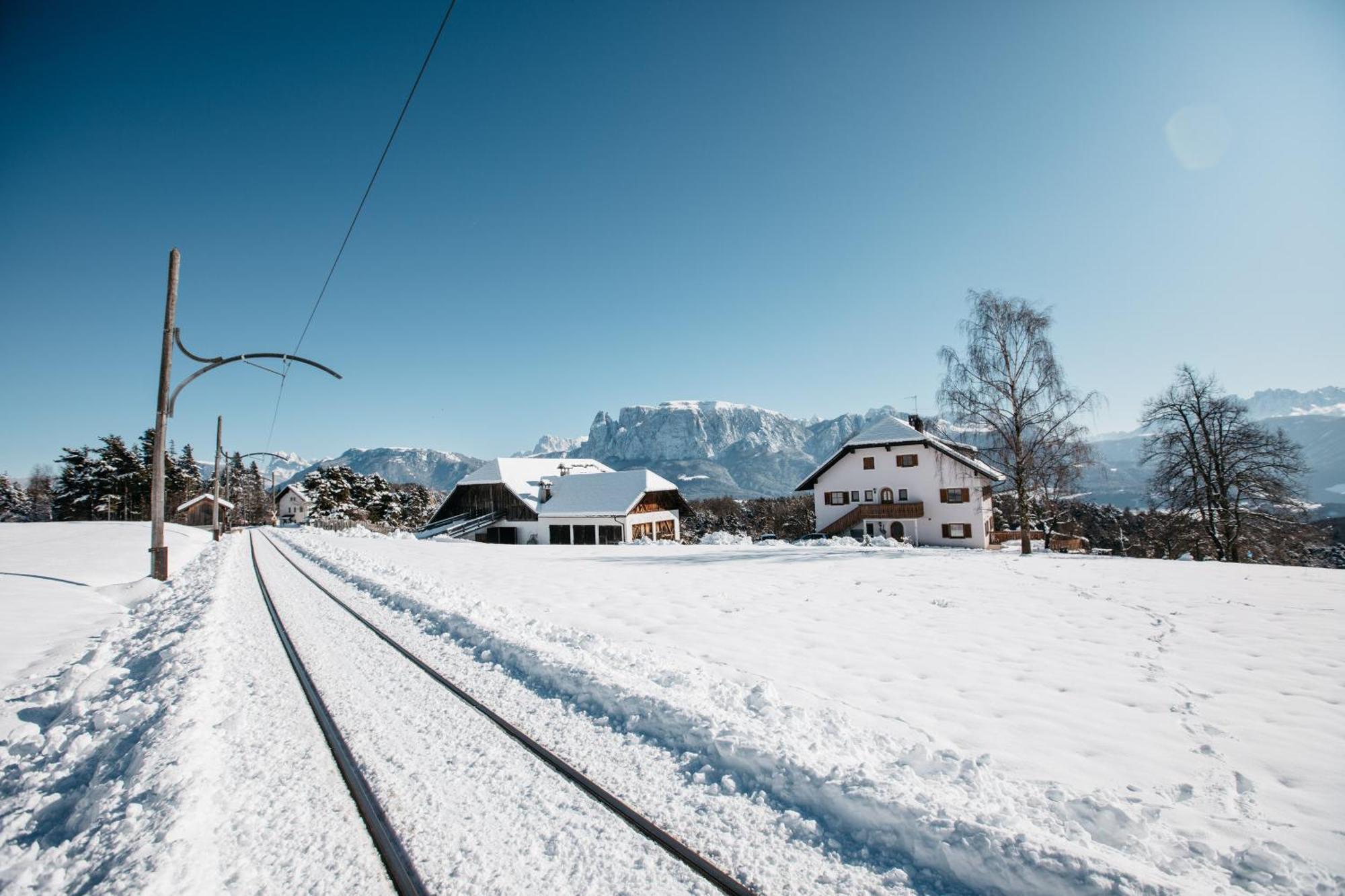 Alpin Farm Linde - Oberweidacherhof Collalbo Exterior foto
